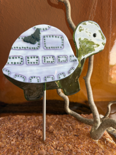 Schildkröte Lila