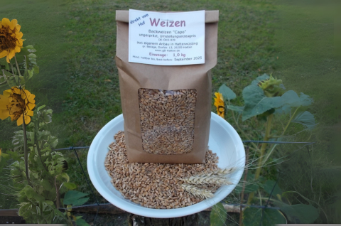 Brot- und Backweizen "Capo" 1 kg ganzes Korn