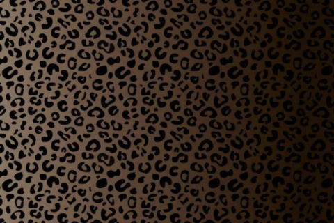 Baumwoll Jersey LEO GRADIENT