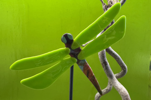 Libelle Grün