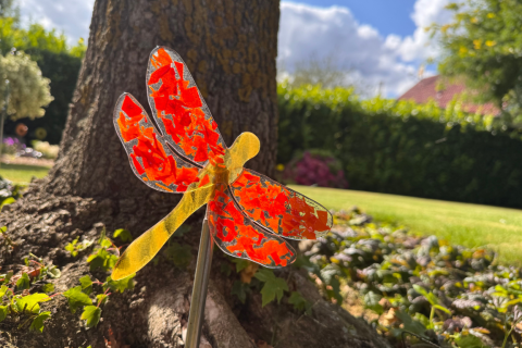 Libelle Orange