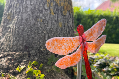 Libelle Rot/Lila