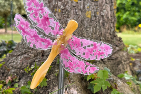 Libelle Rosa
