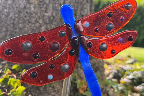 Libelle Rot/Blau