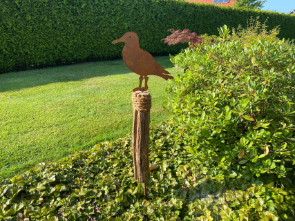Möwe auf Poller