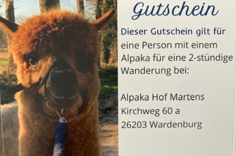 Alpaka-Wanderung Angebot 2 (1 Alpaka / 2 Peronen)