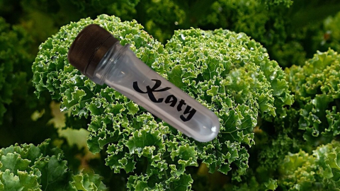 PET-Behälter mit Schraubdeckel 