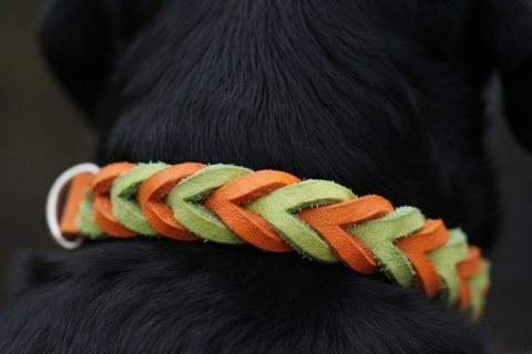 Handgefertigtes Fettleder-Halsband – Ideal für kleine Lieblinge