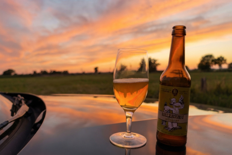 Balzbraeu Pilsener – Frisch und herb wie der Wind an der Küste Niedersachsens