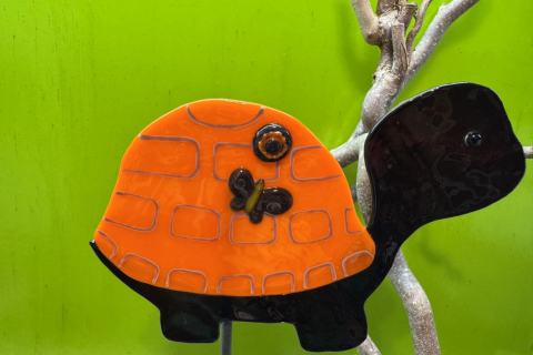 Schildkröte Land Orange