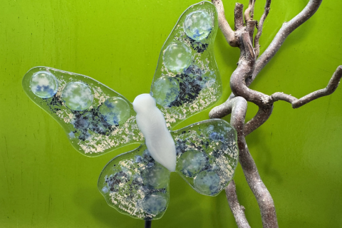 Schmetterling Blau/Beige