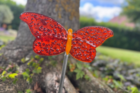 Schmetterling Rot/Orange