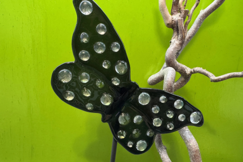 Schmetterling Schwarz/Schimmer