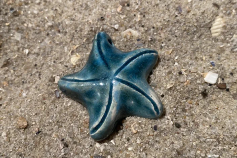 Seestern-türkis glänzend