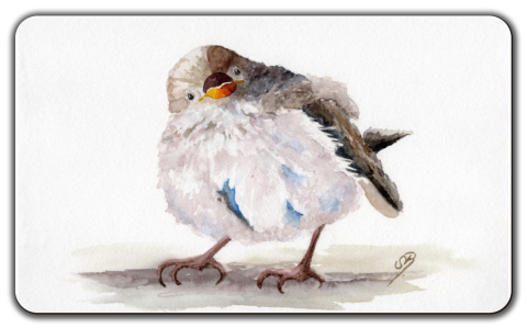 Aquarell Brettchen Frühstücksbrettchen Spatz Vogel