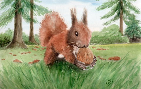 Aquarell Brettchen Frühstücksbrettchen Eichhörnchen