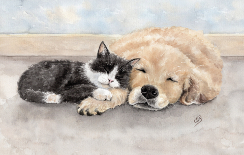 Aquarell Brettchen Frühstücksbrettchen Hund Katze 