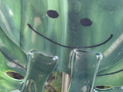 Frosch blau 2
