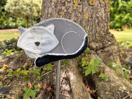 Katze Grau