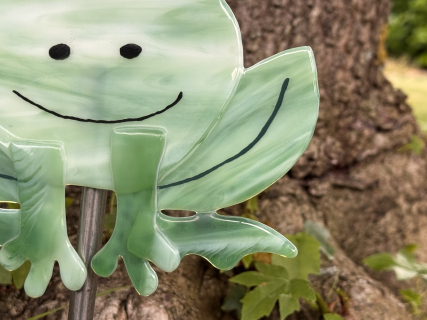 Frosch Grün