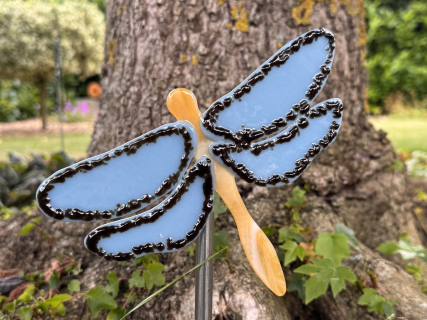 Libelle Blau/Braun