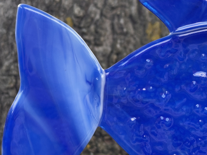 Fisch blau