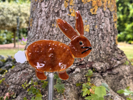 Hase dunkel
