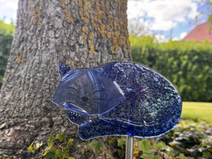 Katze hell Blau