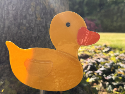 Ente Gelb