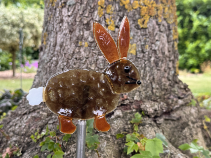 Hase dunkel 2