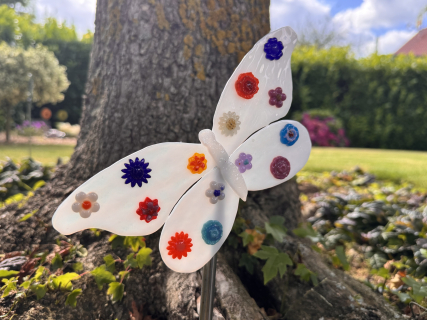 Schmetterling Weiß/Bunt