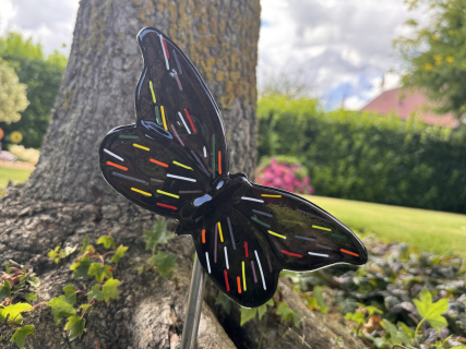 Schmetterling Schwarz/Bunt
