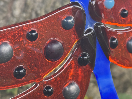 Libelle Rot/Blau
