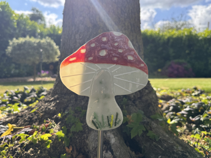 Pilz