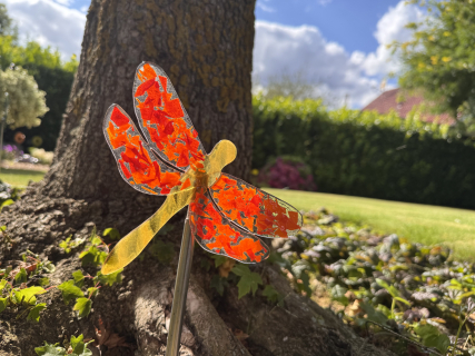 Libelle Orange