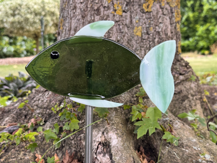 Fisch Grün