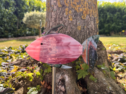 Fisch rosa