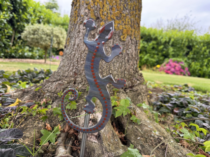 Geko rot