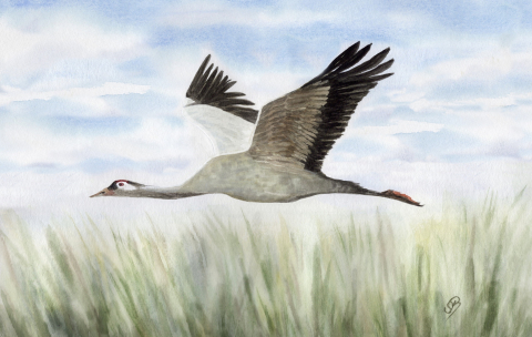 Aquarell Brettchen Frühstücksbrettchen Kranich Ostsee WA4