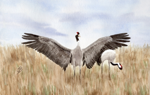 Aquarell Brettchen Frühstücksbrettchen Kranich Ostsee WA8