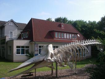 Nationalpark-Haus Wangerooge