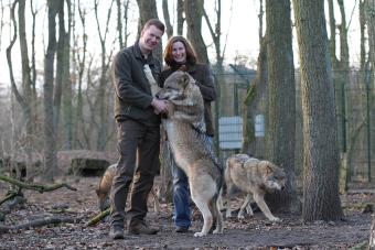 Wolfcenter
