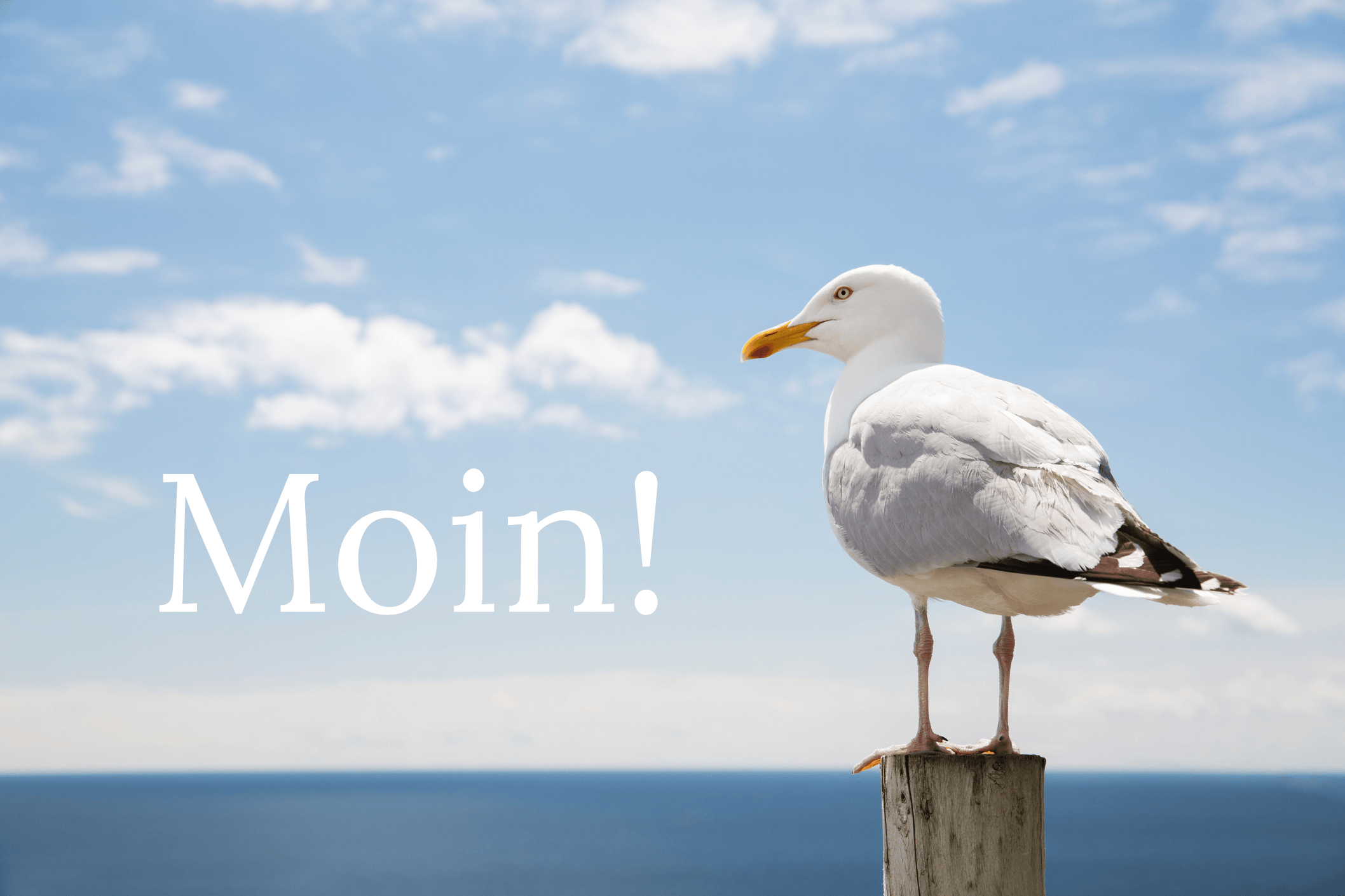 Moin – mehr als ein Wort