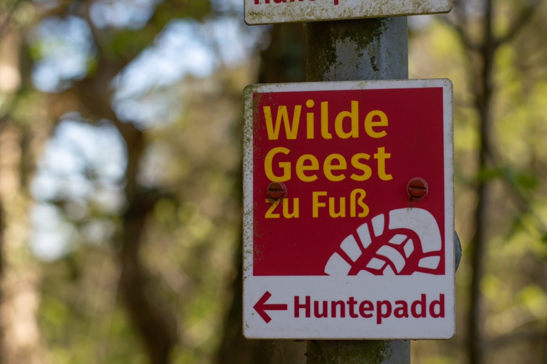 Ausflugstipp: Rundwanderweg Dötlinger Huntepadd