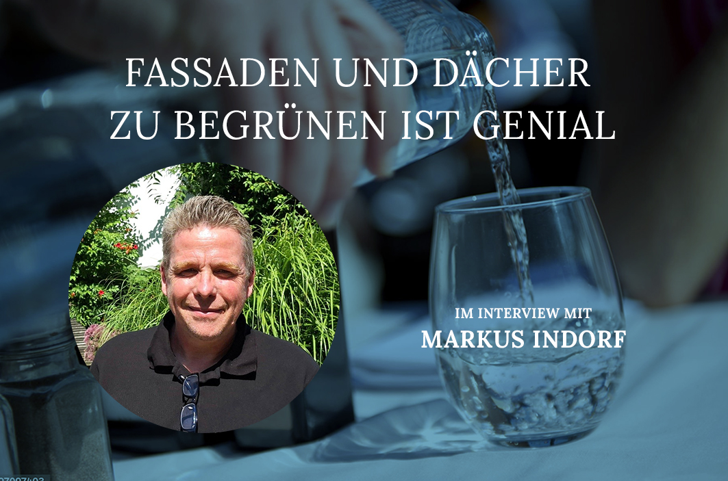 Es ist ganz einfach: Wie Haus und Garten zur nachhaltigen Oase werden