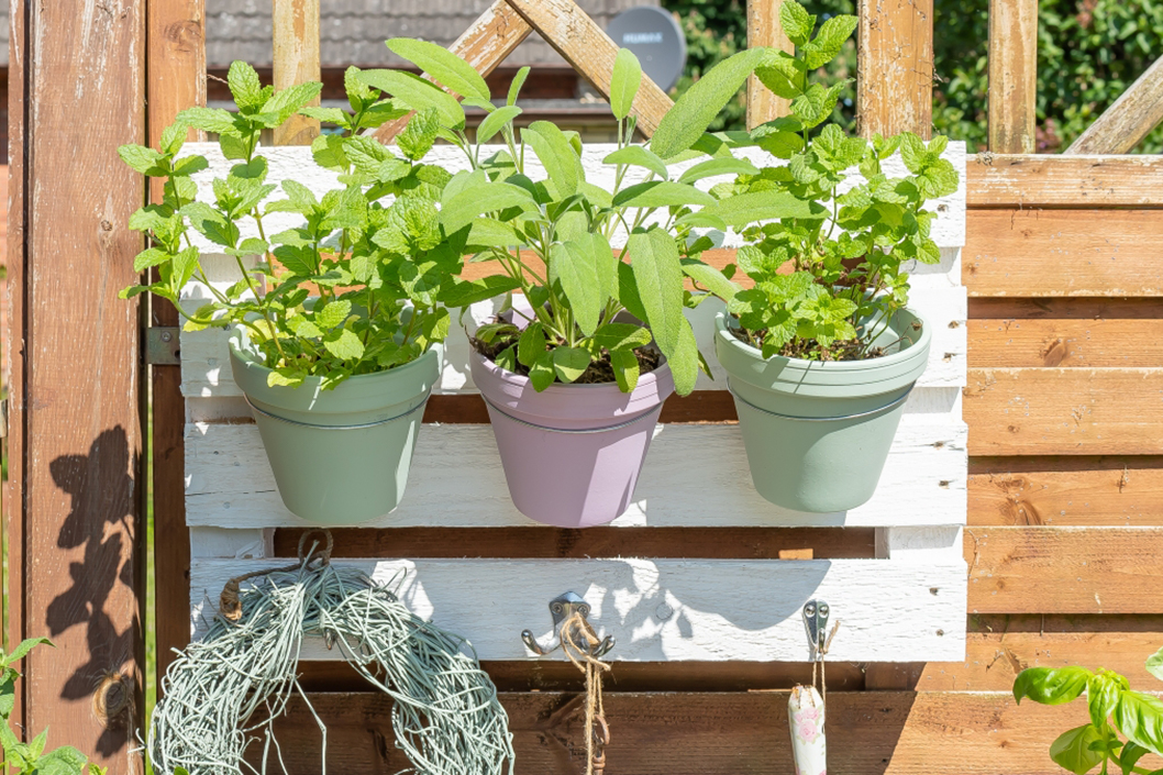 Für Garten und Balkon: vertikales DIY Kräuterregal