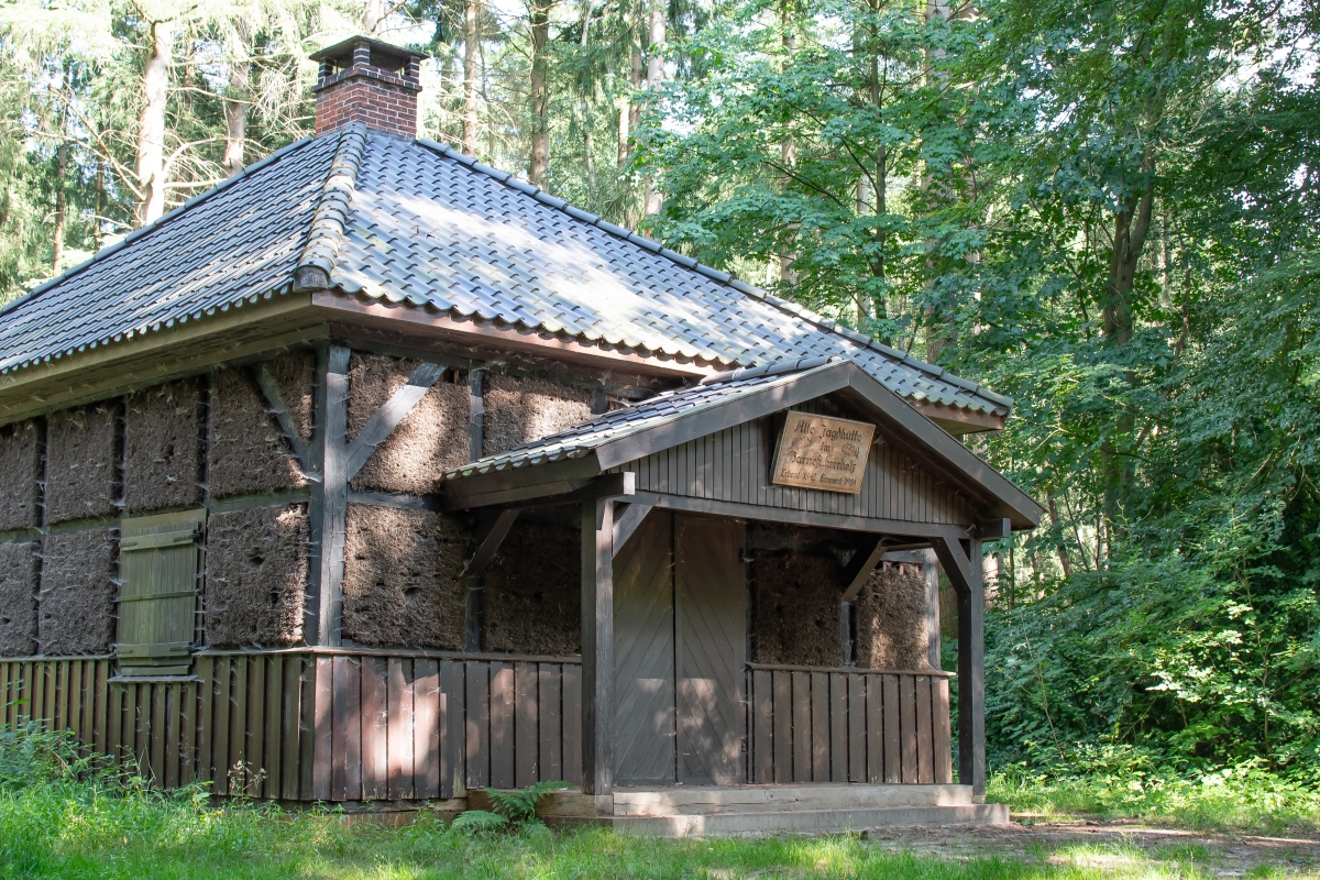 Ein altes Gebäude mitten im Wald