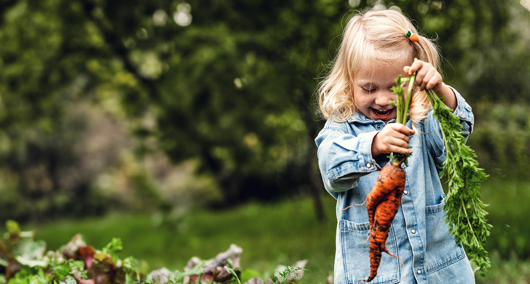 Rund um den Garten