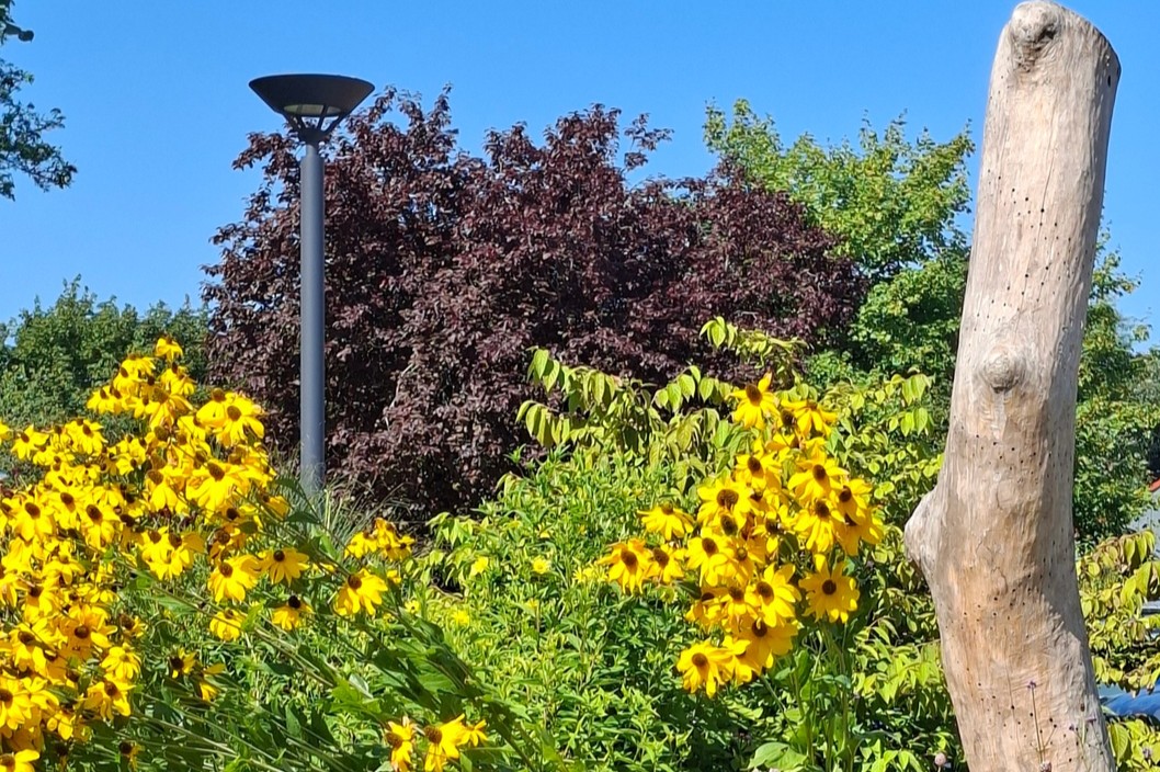 Insektenbaum im Garten - Stadt.Land.Grün - einfach Heimat