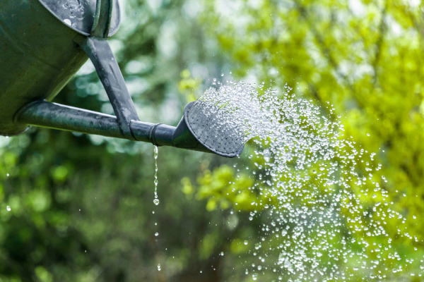 Genug Wasser für alle – wenn jeder mithilft